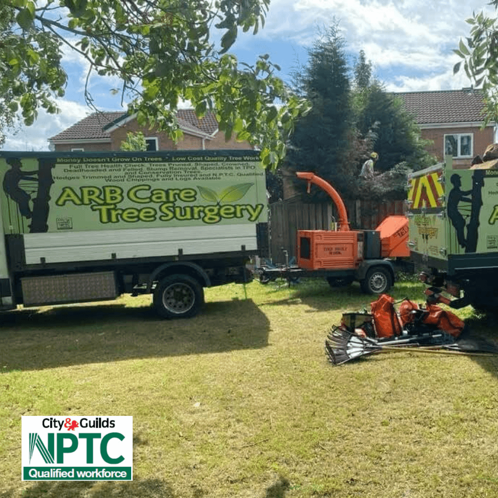 Arborist at work in Barnsley