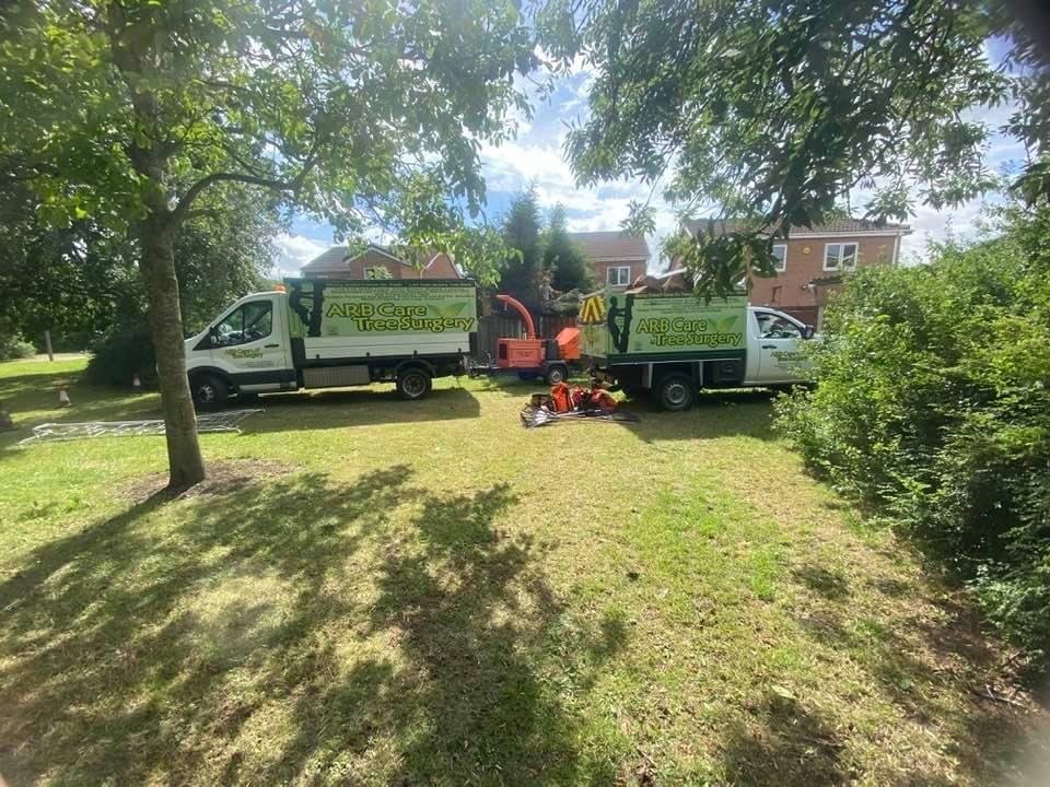 Profressional Tree Surgery