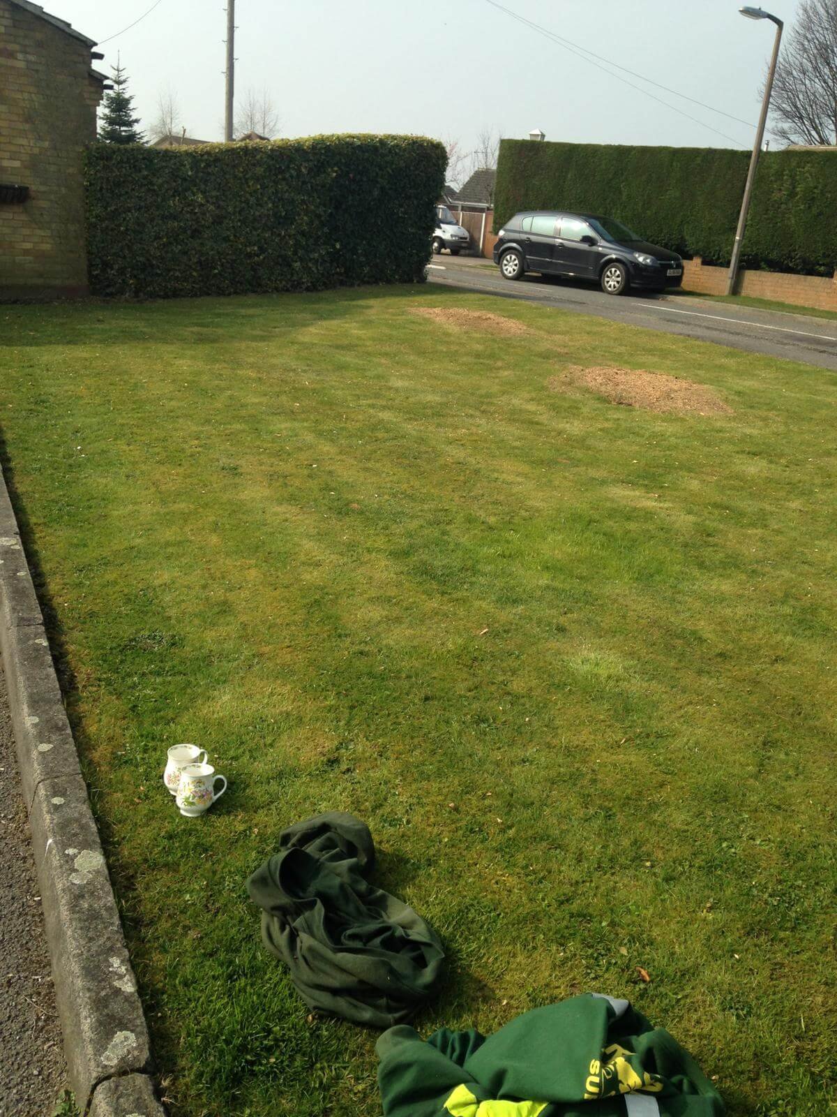 Emergency tree work by highly skilled professional surgeons