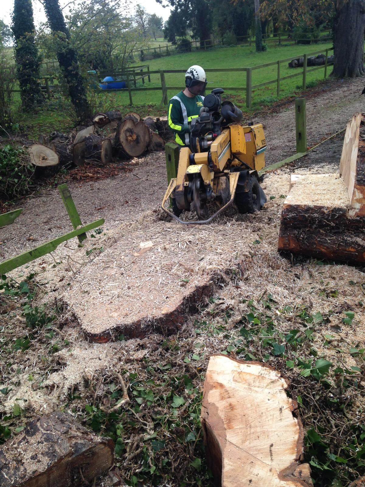 Stump Grinding and logs for sale by arbcare in Sheffield