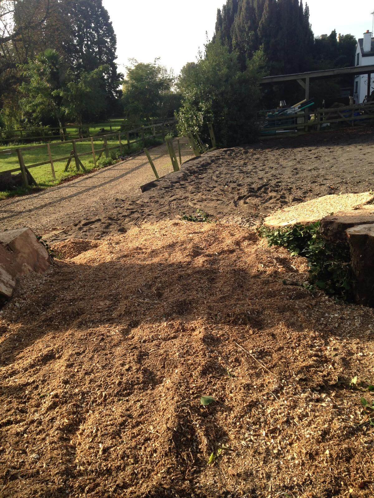 Tree Removal service by arbcare in Rotherham