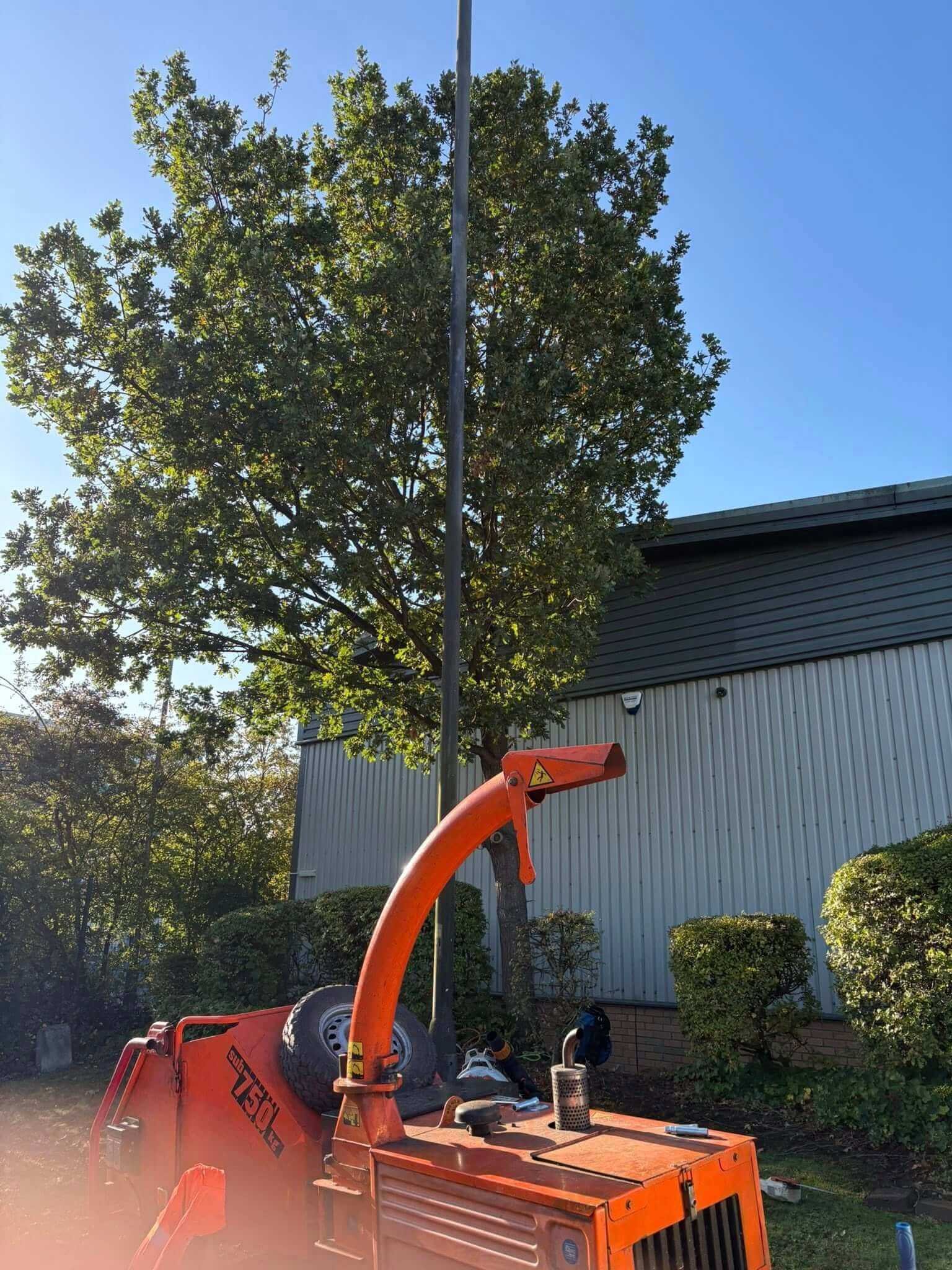 Hedge maintenance in Yorkshire