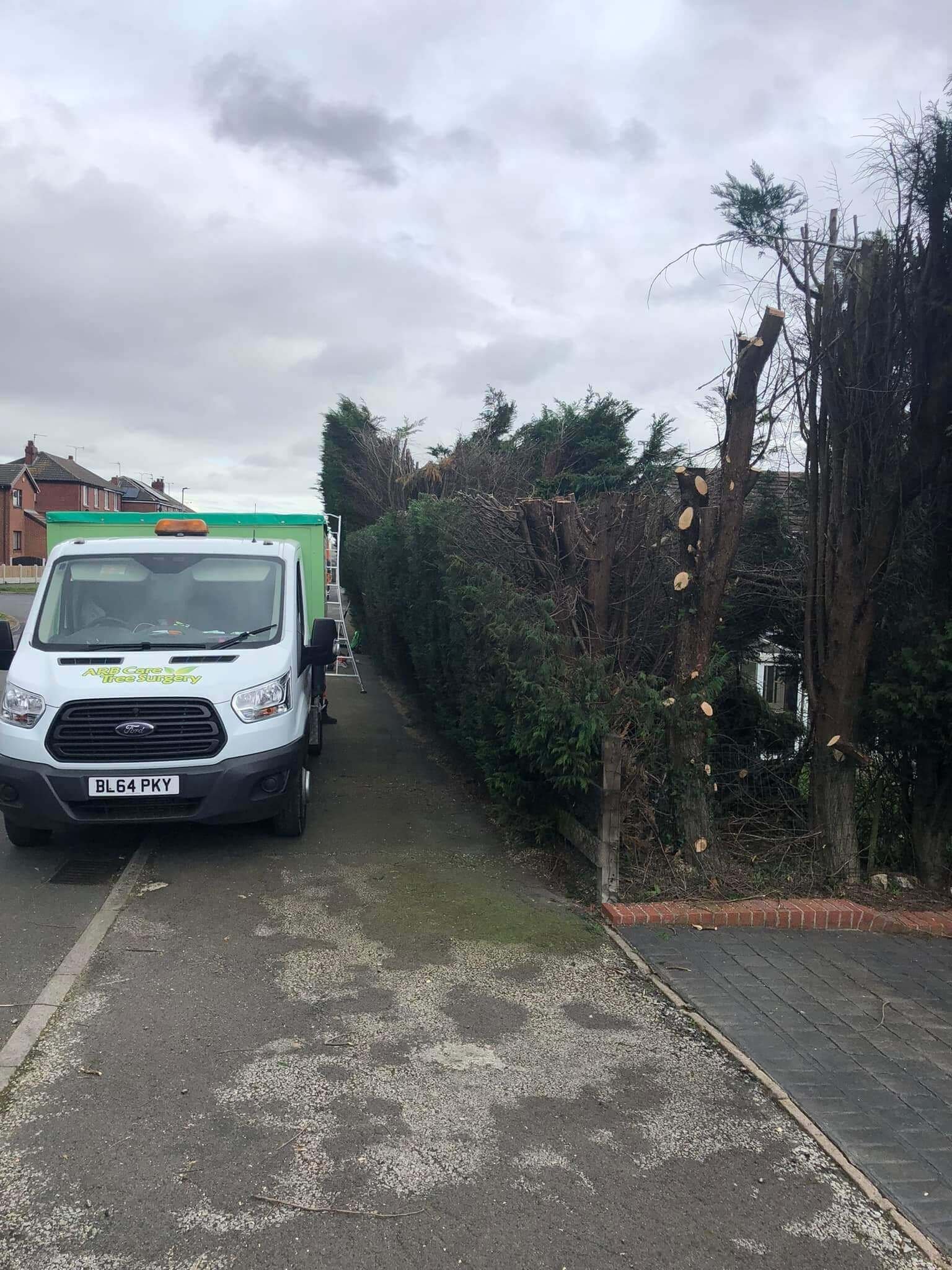 Emergency tree work by highly skilled professional surgeons