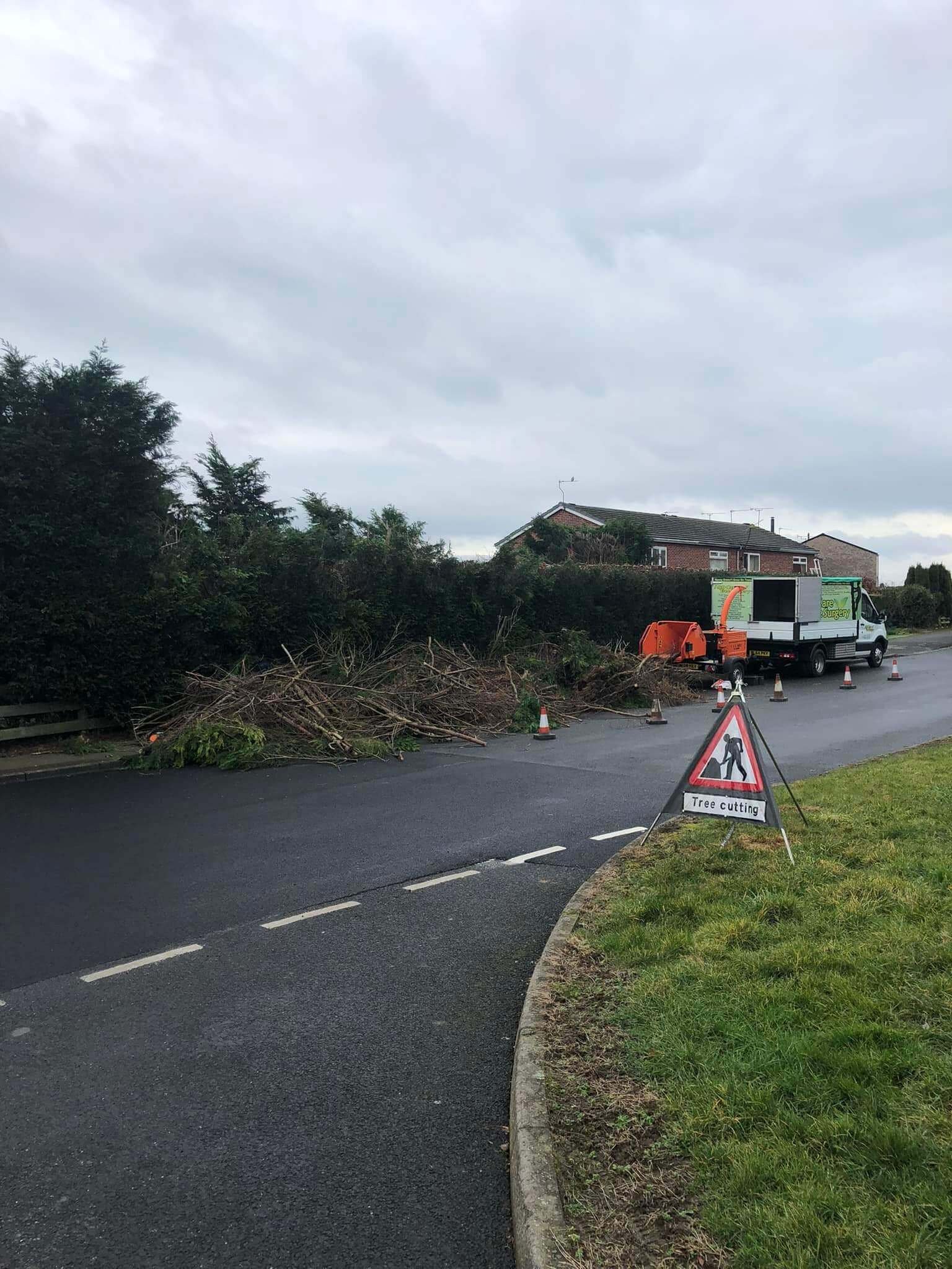 Emergency tree work by highly skilled professional surgeons